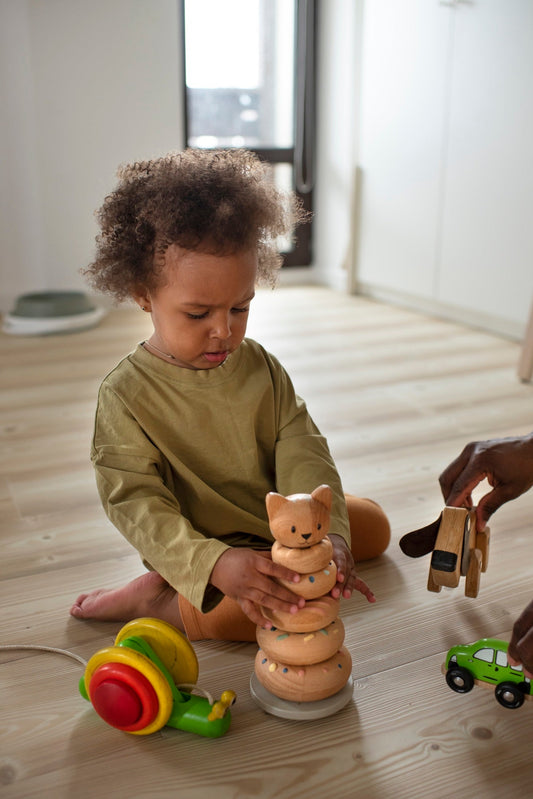 Unlock Endless Fun &amp; Learning with the Looby Loo Kangaroo Stacker